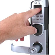 Commercial Door